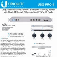 USGPRO4 (Security Gateway Pro)